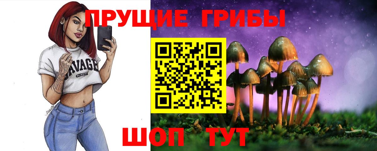 Галлюциногенные грибы MAGIC MUSHROOMS  Вход с VPN  Каменск-Шахтинский 